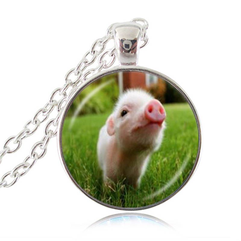 Acheter Pas Cher Mignon Petit Bebe Collier De Cochon Piggy Pendentif Bijoux Pour Animaux Verre Cabochon Temps Collier De Pierres Precieuses Longue Chaine Declaration Du 3 75 Fr Dhgate