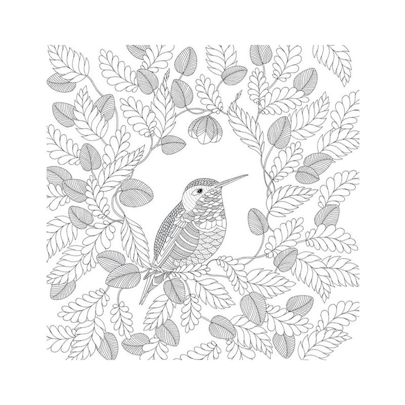 Satin Al Animal Kingdom Book Yetiskin Cocuklar Icin Boyama