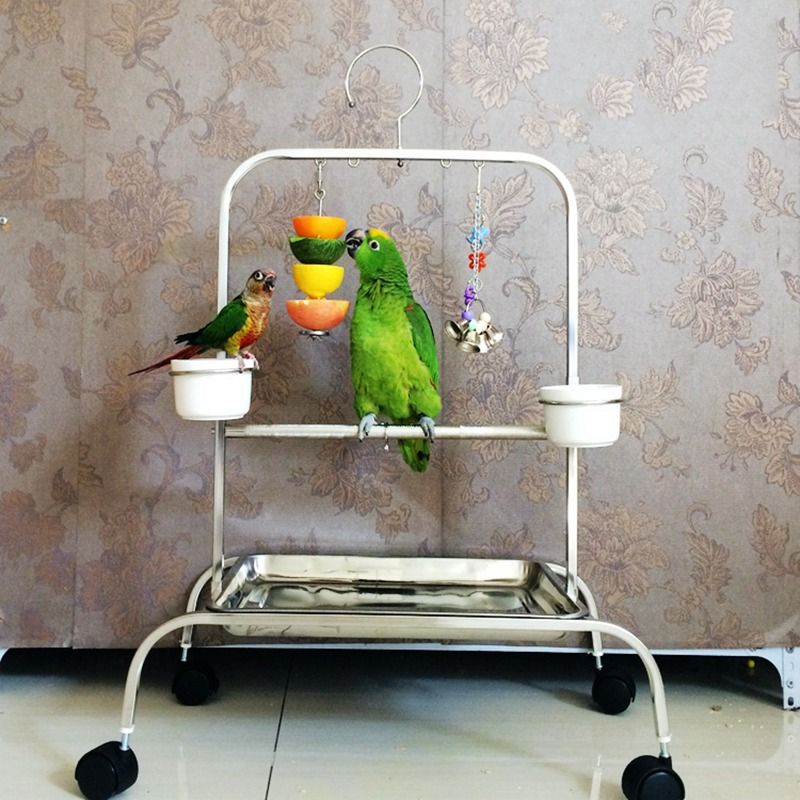 High Quality Birds Foraging Toys Parrot Stainless Steel Food Fruits Fork Feeder Lovebird Treating Tool Bird Cage Accessories Jj0200 Huge Bird Cages For Sale Indoor Bird Cages From Smileseller2010 4 45 Dhgate Com