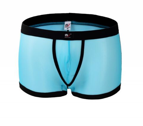 2021 Underwear Men Sexy Transparant Mesh Gauze Mens Lace Panties Thongs ...
