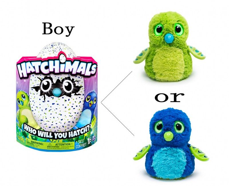 hatchimals for boys