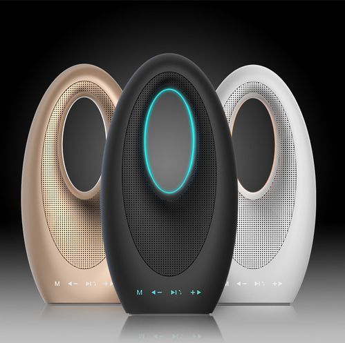 boat speaker with mic