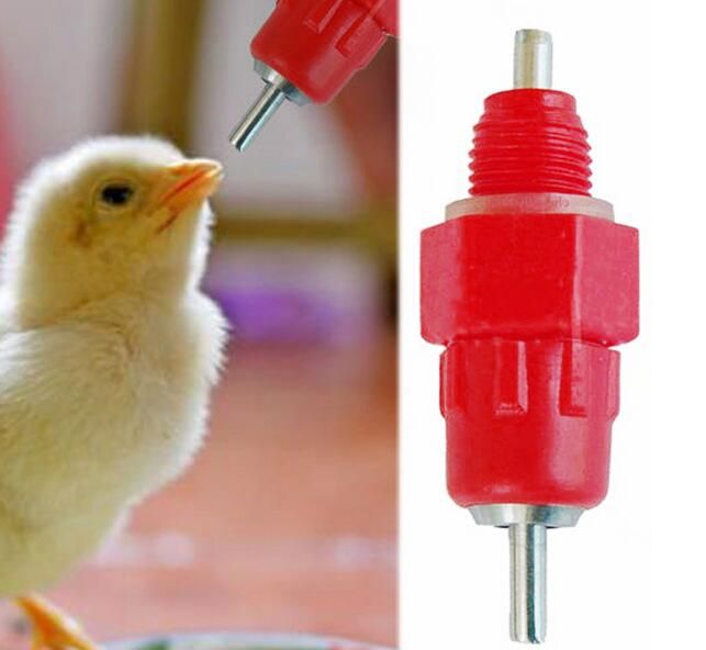 Nipple Drinker Feeder Water Cups Chicken Drinkers Waterer 360