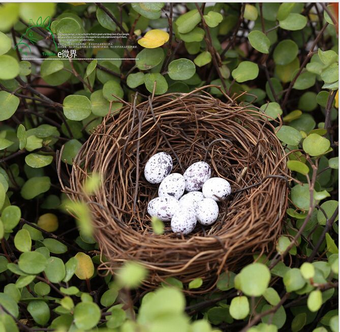 2020 6cm Mini Bird Nest And 10 Eggs Bonsai Resin Craft Fairy Garden Decoration Tool Miniature Home Decor B9360430 From Novelty 1 14 79 Dhgate Com