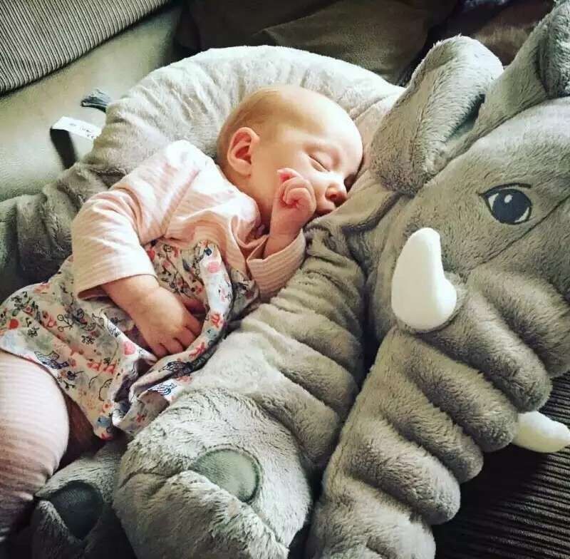 elephant plush pillow