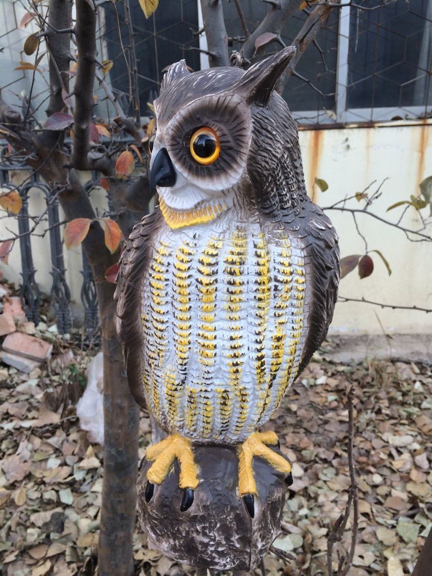 Garden Owl Garden Owl