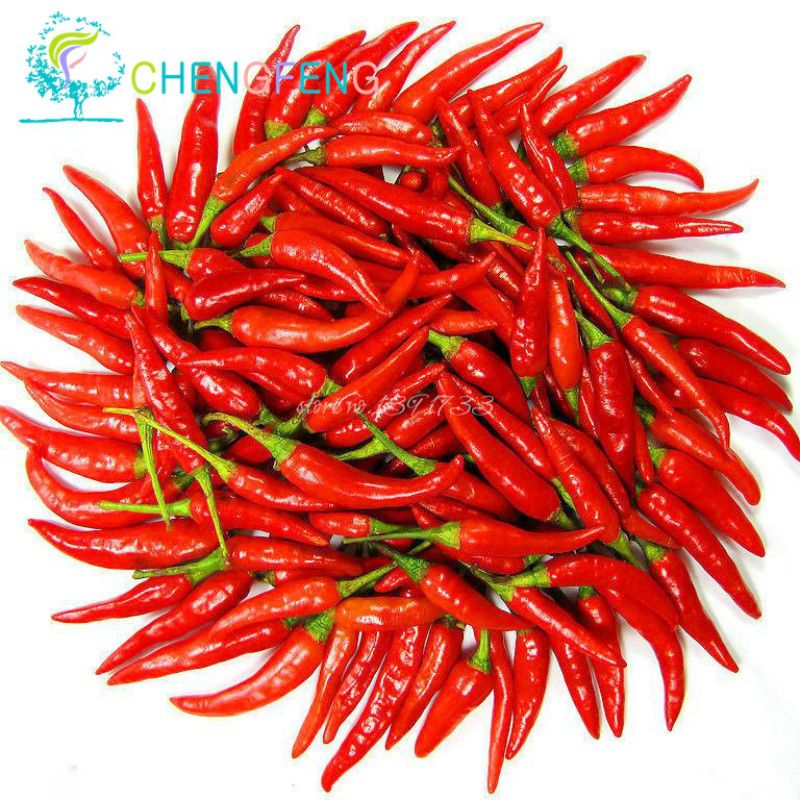 100pc Super Giant Seeds Plants Pepper Bonsai Spices Spicy Chili Healthy Red 