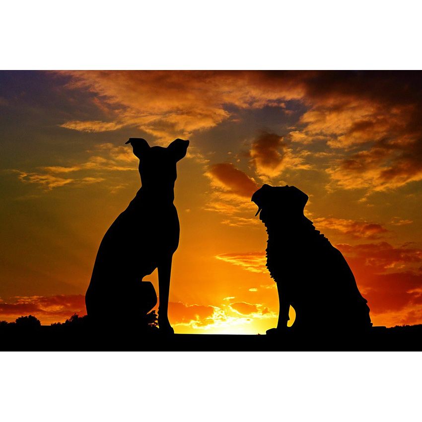 dog silhouette painting