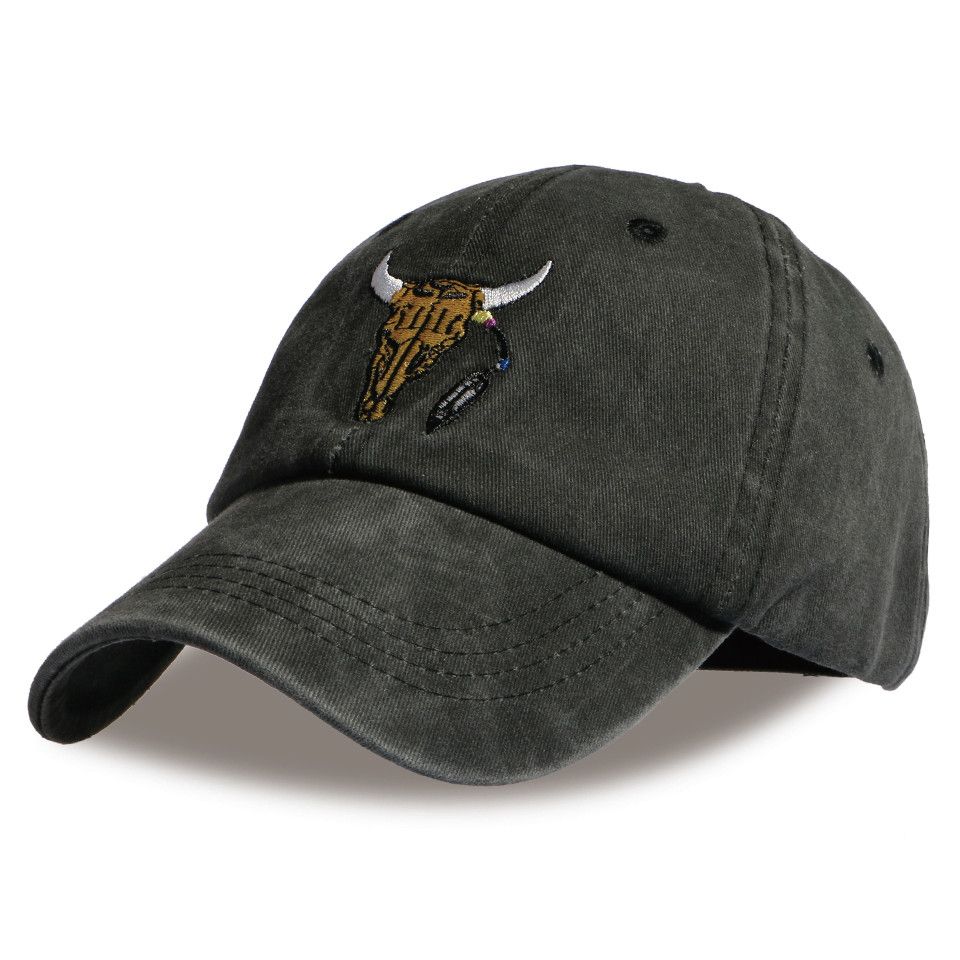 skateboard dad hats