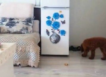 Indirekte Beleuchtung Wohnzimmer Wand Das Beste Von Led