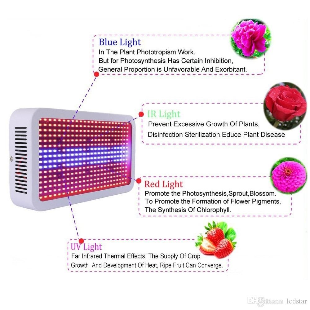 Best Led Grow Lights Buying Guide Updated Comparison List