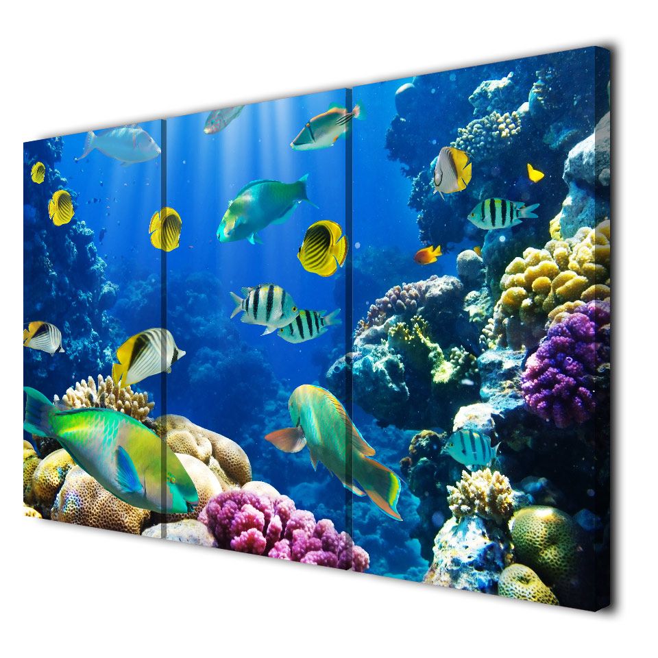 Tropical Fish Home Decor Amazoncom Lightahead Artificial Tropical inside Tropical Fish Home Decor