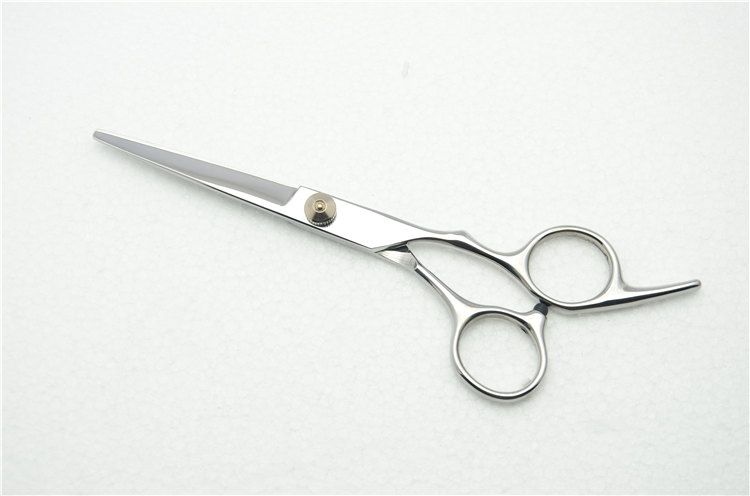 Cutting Scissors No Case