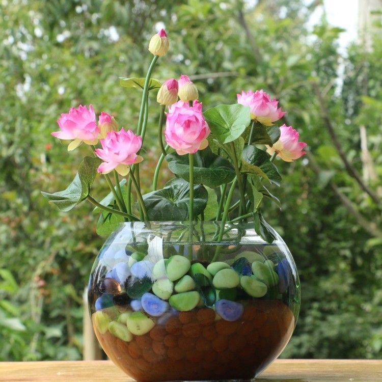 Kết quả hình ảnh cho lotus flower vase