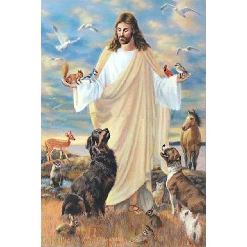 Decorazione in Tela Decorazione da Parete 30x40 cm Pittura Diamante 5D Kit Cane Ricamo a Punto Croce con Strass Zeyevan Fai Da Te Kit Diamond Painting Completo Cane 
