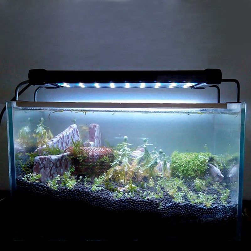 aquarium led light