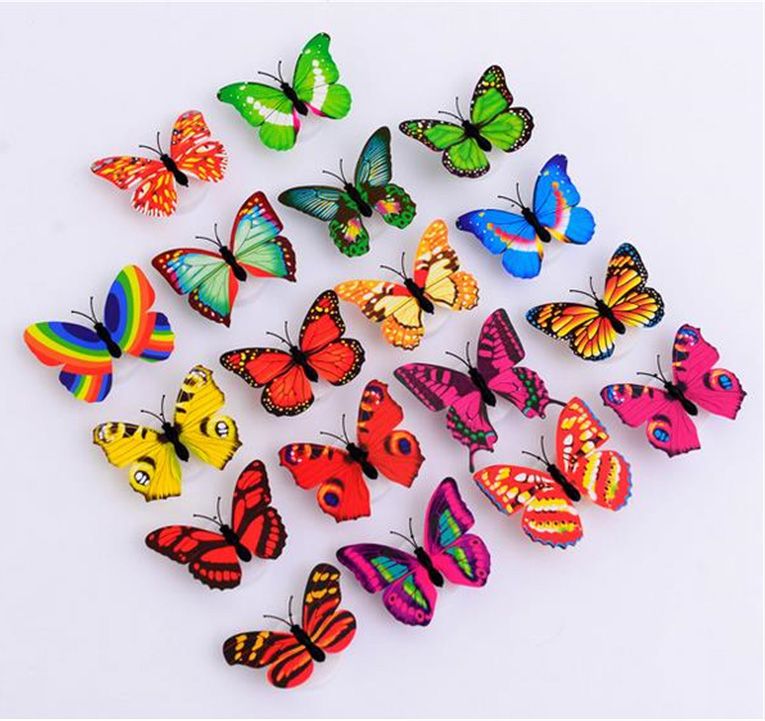 Mixed Butterfly