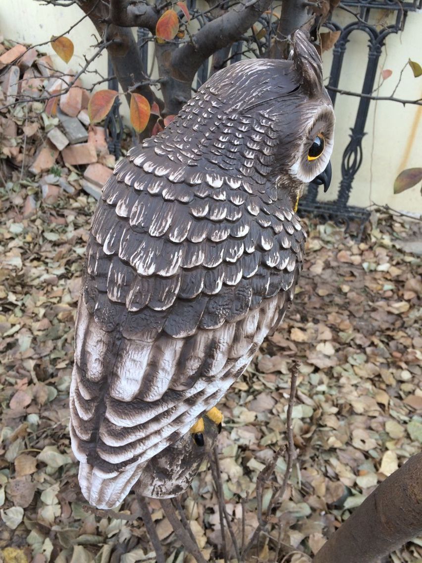 Garden Owl Garden Owl