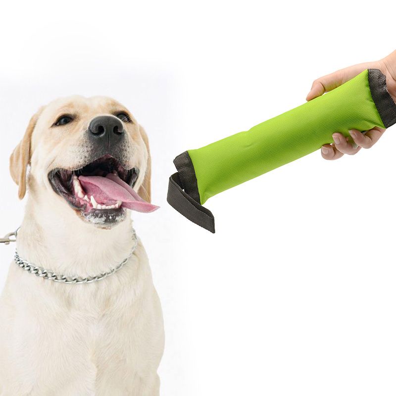 puppy tug toys