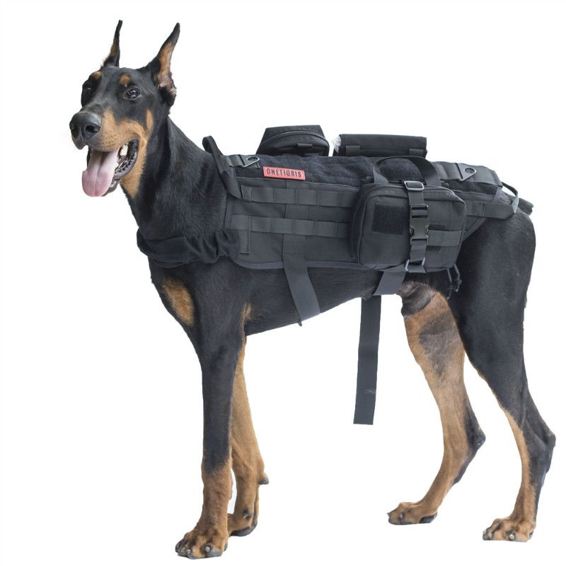 security dog jacket