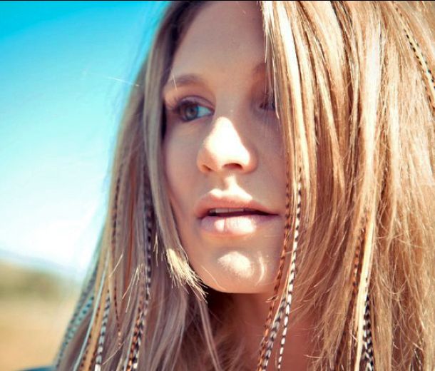 feather extension clips