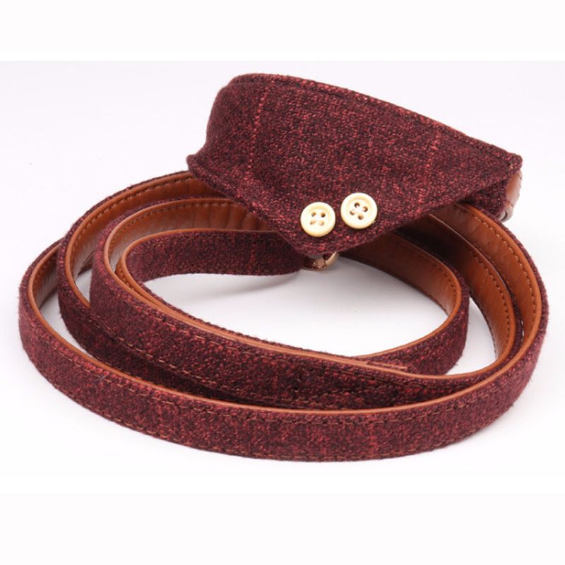 leather dog collar with bow