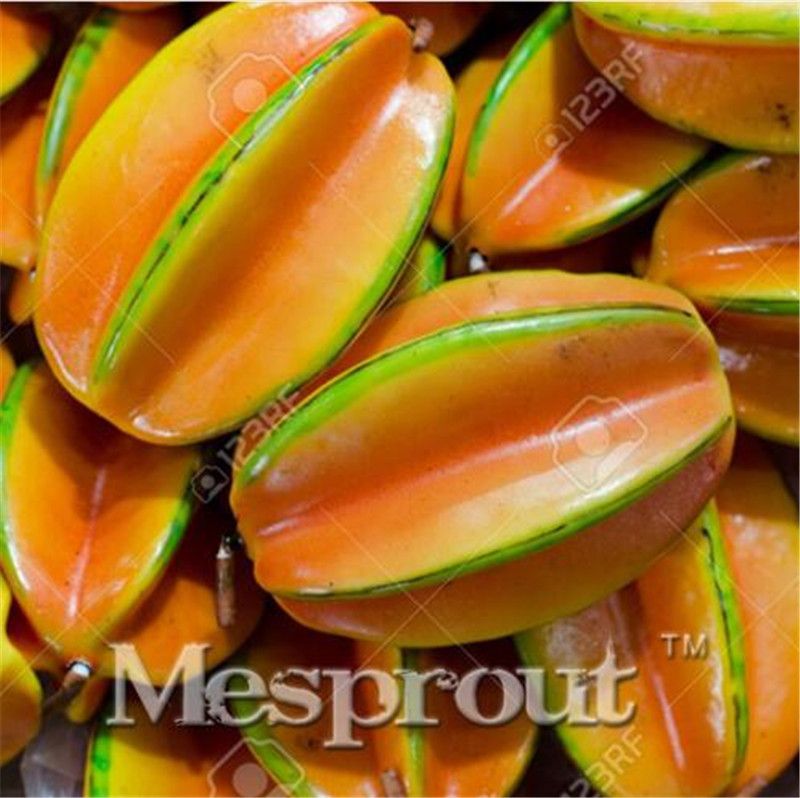 50 Pcs Carambola Seed Seeds Fruit Vegetables Flower Home Planting Plant NEW