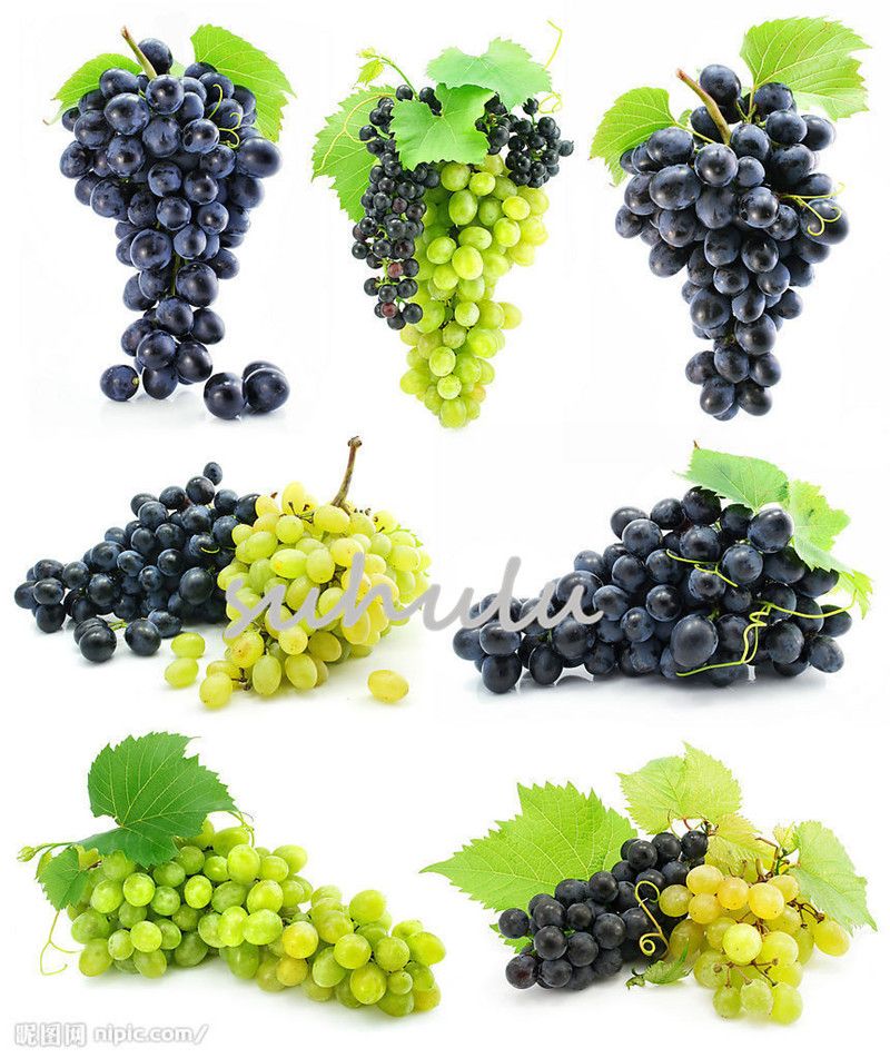 Rare Green Grape Seeds Advanced Fruit Seed Natural Growth Sweet Grape Delicious 