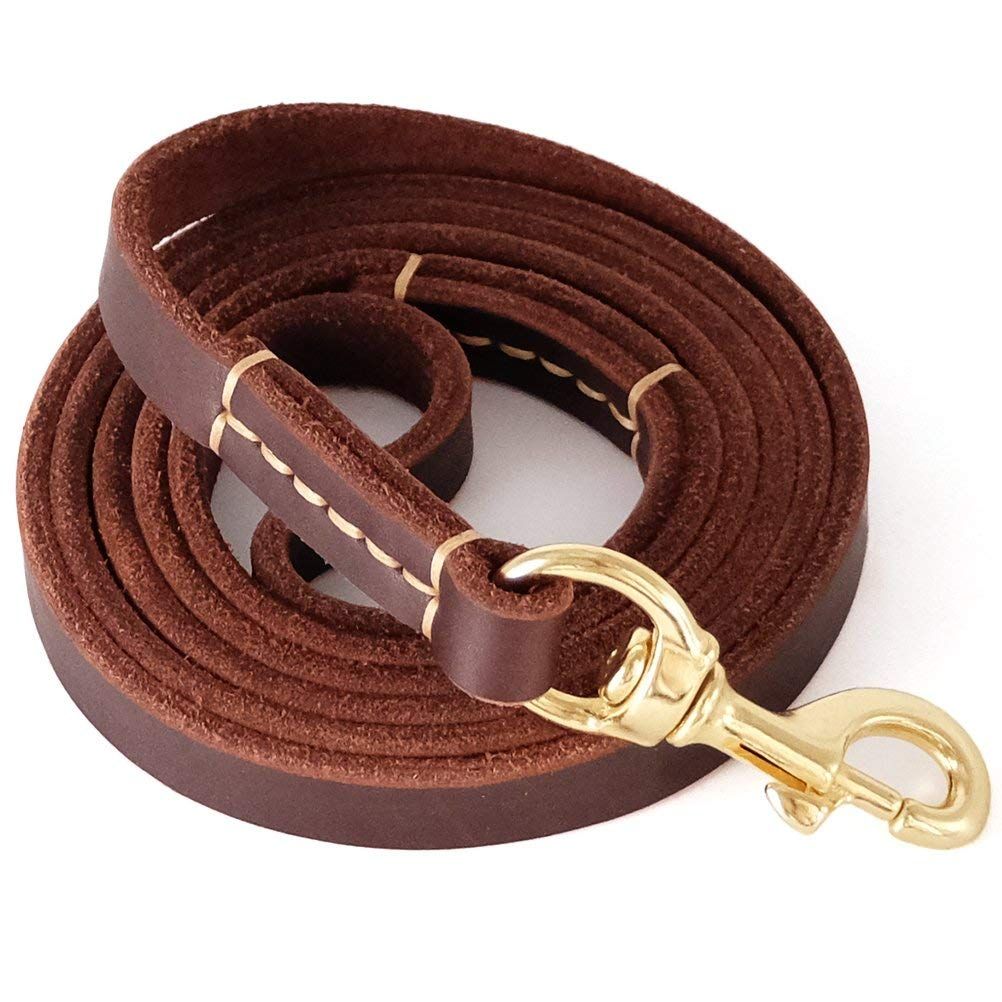 6ft dog leash