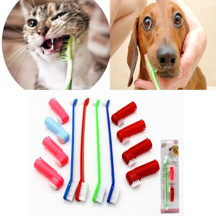 cat finger toothbrush