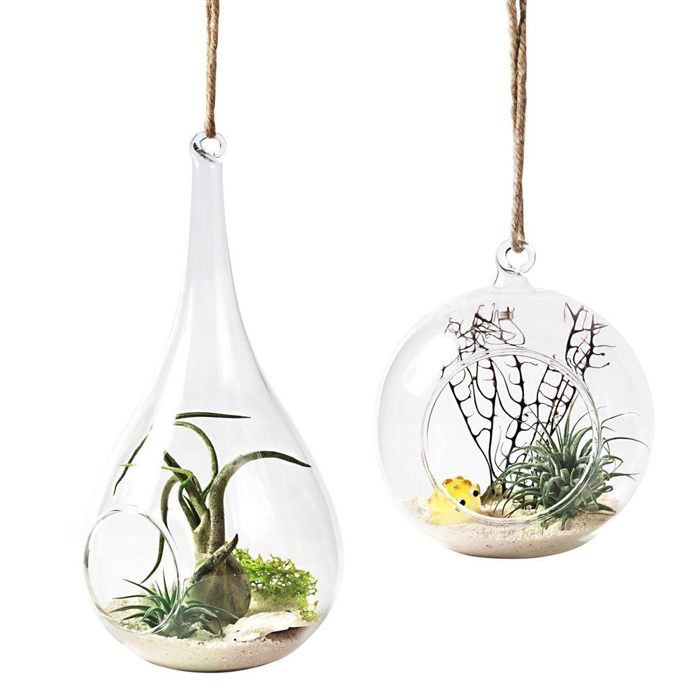 Set Of 2 Plant Terrariums 4 Inch Globe/Teardrop Glass Terrarium Indoor