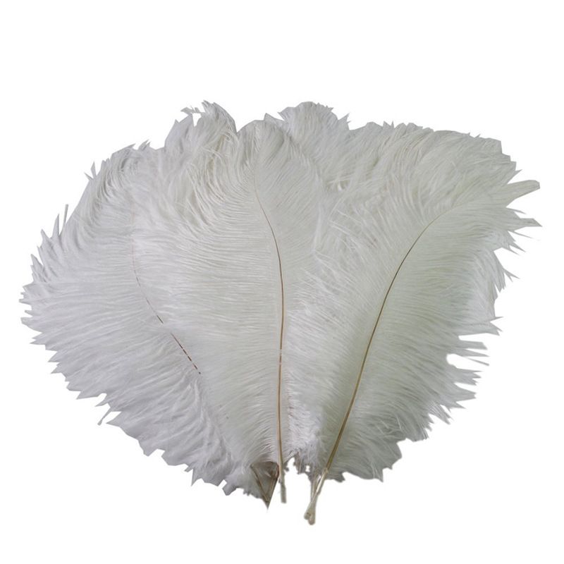 feather plumes