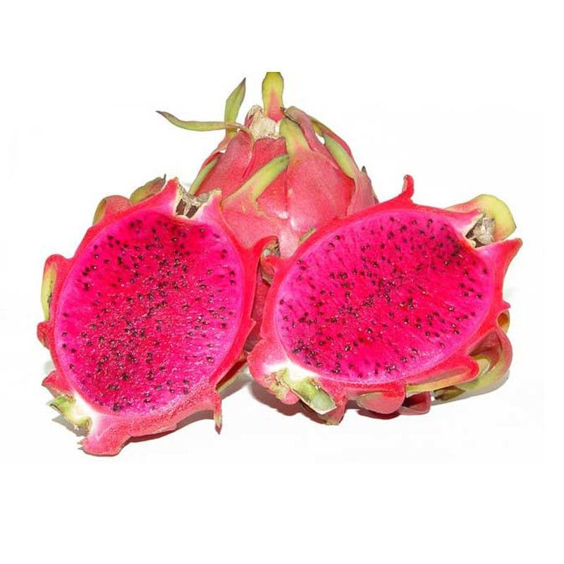 20Pezzi Mescolare Semi Di Pitaya Frutto Del Drago Frutta Cimelio Non OGM Colori Vivaci Giardino Agricolo Allaperto Piantare Facile Da Germinare Forte Adattabilità Amato Dai Giardinieri 20Pezzi Mescolare Semi Di Pitaya Frutto Del Drago Frutta Cimelio Non OGM Colori Vivaci Giardino Agricolo Allaperto Piantare Facile Da Germinare Forte Adattabilità Amato Dai Giardinieri