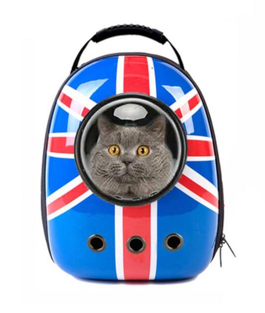 space kitty backpack