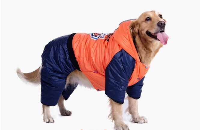 Acheter Grands Chiens Roi Vêtements Samoyeds Golden Retriever Sur Vêtements De Chien De Grande Race Veste Dhiver Chaude Gilet Livraison Gratuite De