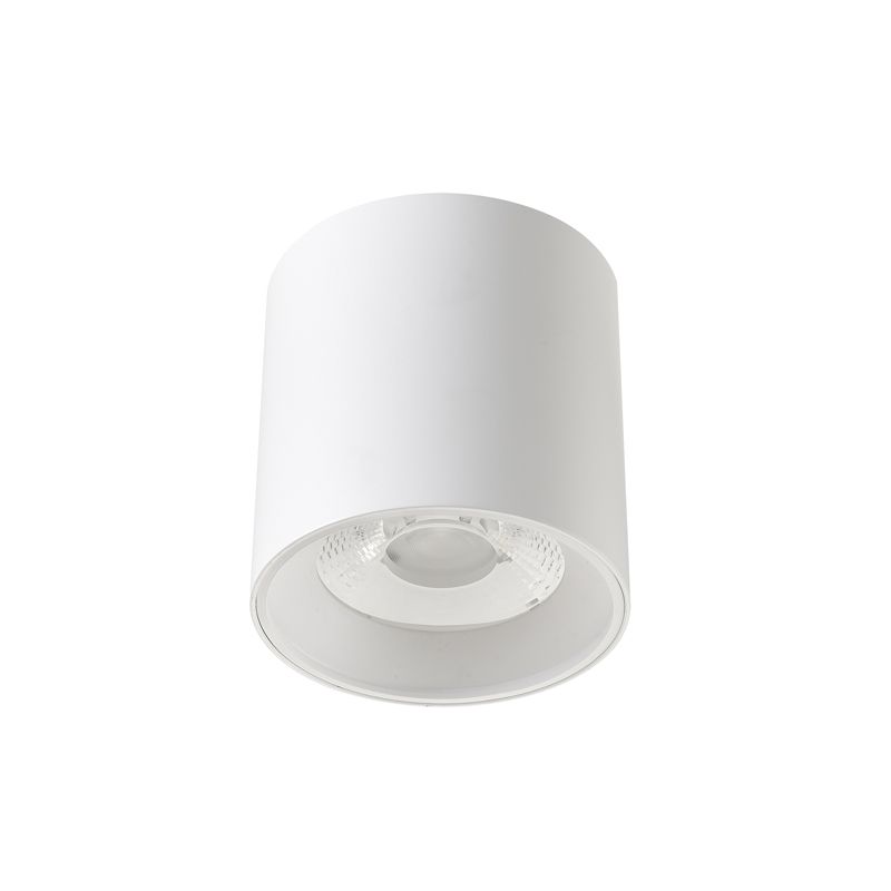 Surface Mounted Led Ceiling Downlight 30w Super Bright Spot Light