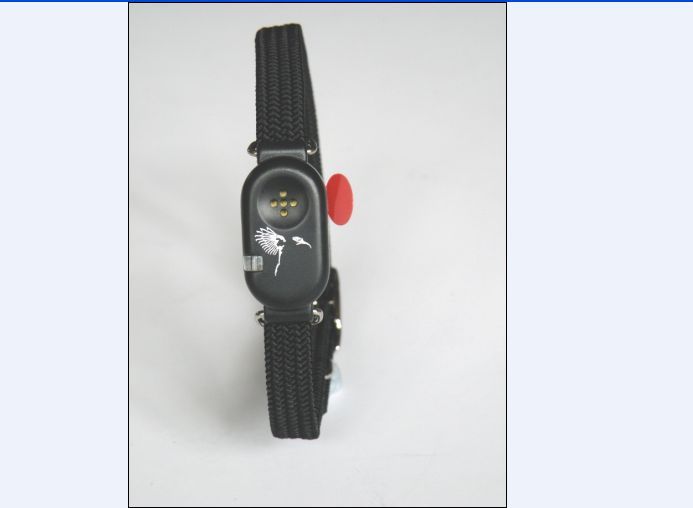 liberator cat collar