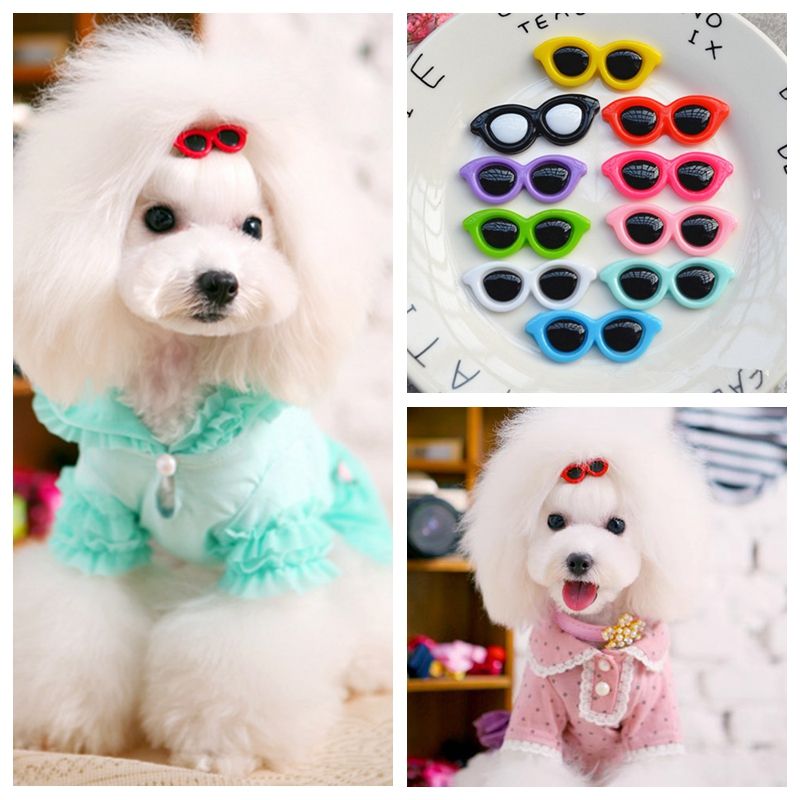 dog hair clips bows