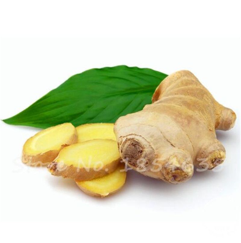 семечки имбиря. семечки имбиря. как растет имбирь. семена имбиря. имбирь на балконе.