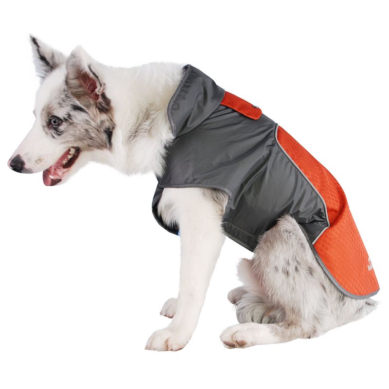 blue jackets dog jersey