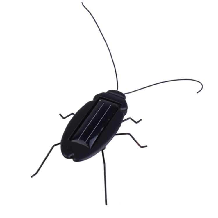 Cockroach avec sac en plastique