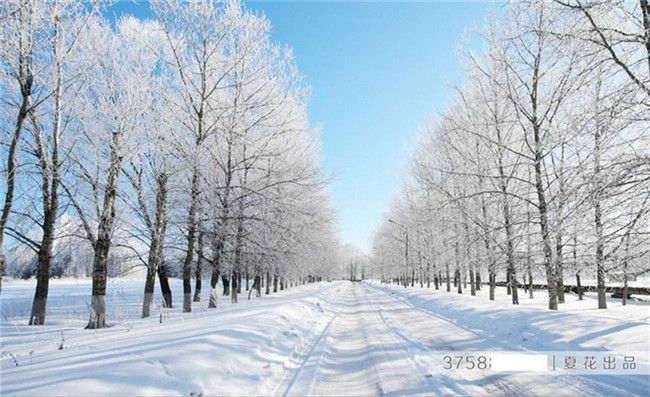 Grosshandel Benutzerdefinierte 3d Raum Landschaft Wallpaper Mural Natur Winter Landschaft Schnee Strasse Weisser Baum Auf Den Seiten Wandbild Wand Papier Schlafzimmer Von Xunxun66 13 7 Auf De Dhgate Com Dhgate