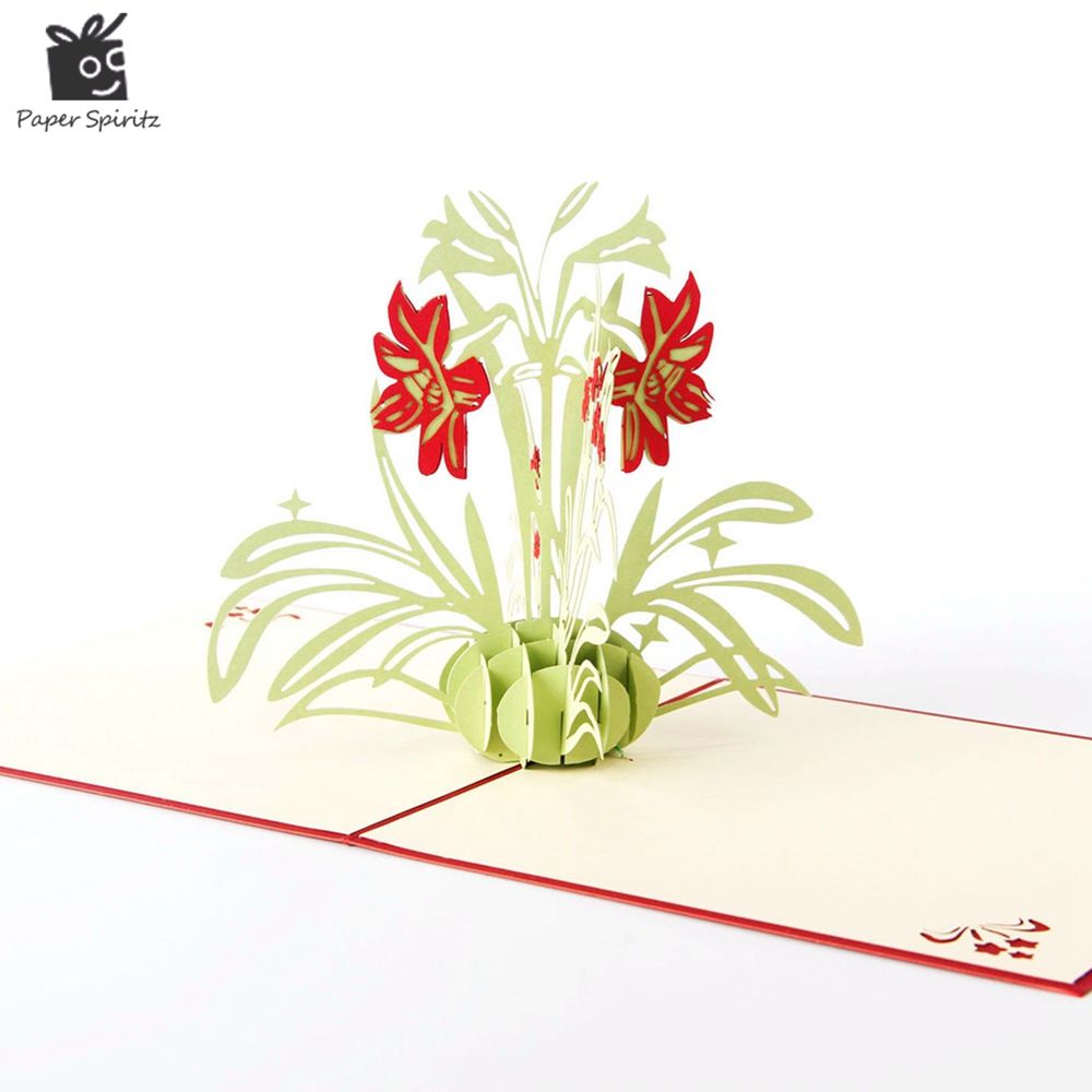 Journee Des Enseignants Saint Valentin Carte Anniversaire Mariage Carte Pop Up 3d Forme Dfleur Pour Fete Des Meres Decorations Et Accessoires De Fetes Loisirs Creatifs Rodschinson Com Journee Des Enseignants Saint Valentin Carte Anniversaire Mariage Carte Pop Up 3d Forme Dfleur Pour Fete Des Meres Decorations Et Accessoires De Fetes Loisirs Creatifs Rodschinson Com