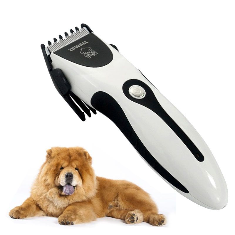 hair cutter shaver