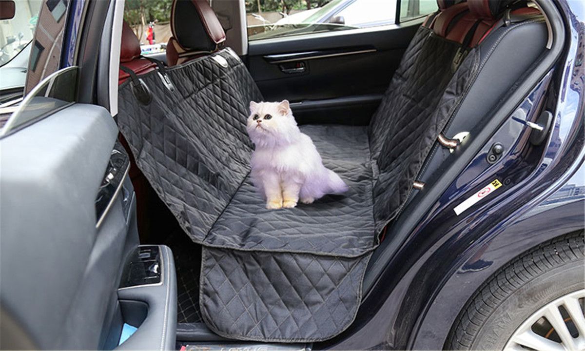 dog carrier for car