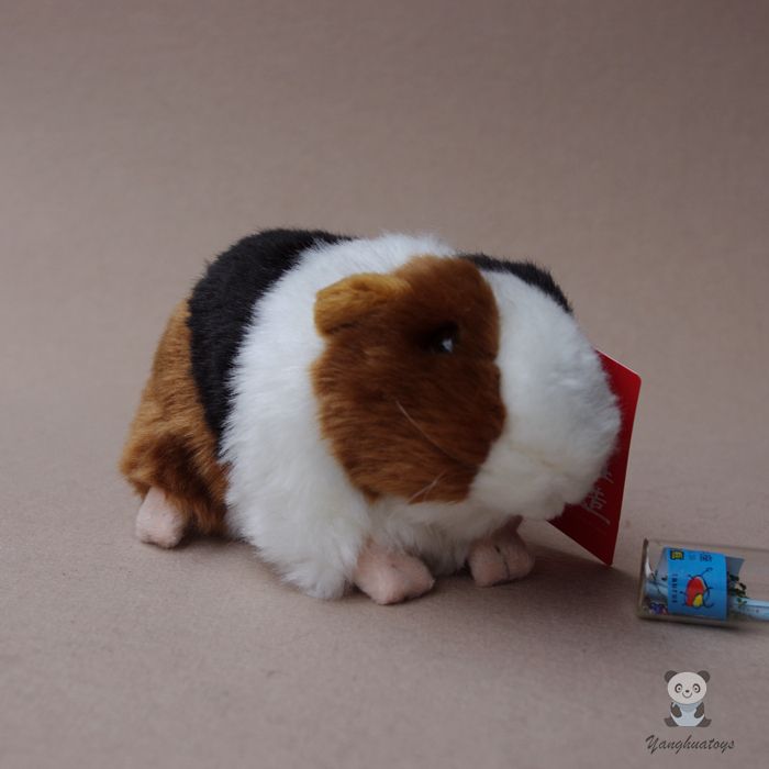 guinea pig doll