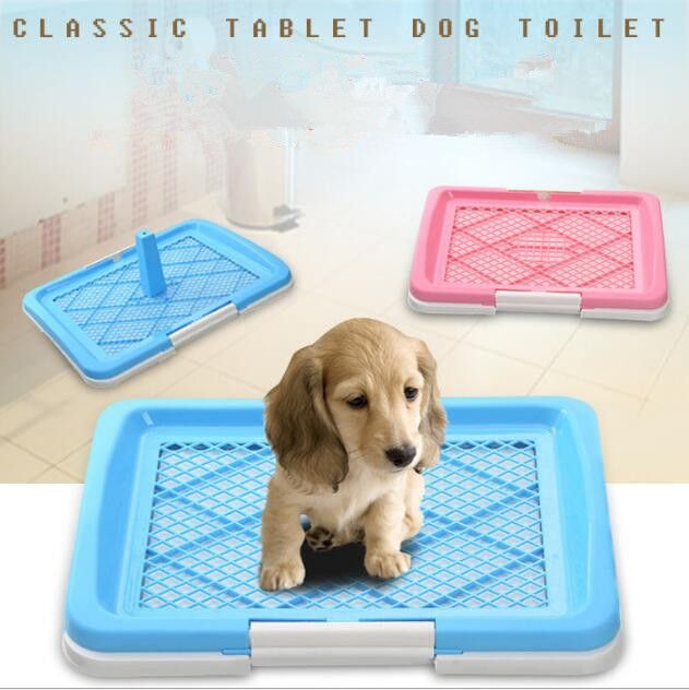 potty cover for dogs