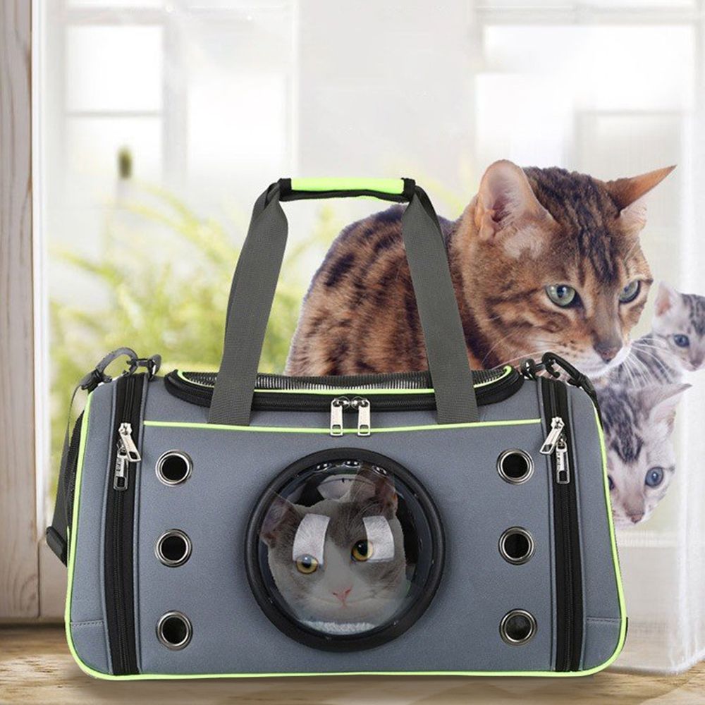 cat carrier with bubble window