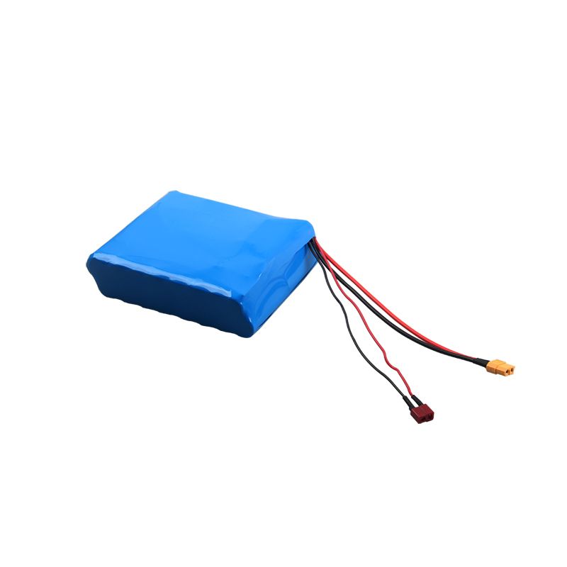 16s2p 5 8ah 60v Battery For Unicycle Diy 18650 Li Ion Battery Pack With Inr18650 29e Inside Car Battery Jump Starter Car Battery Reviews From Ecodream 130 06 Dhgate Com