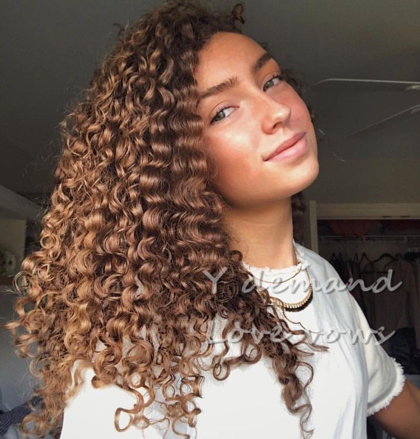 Long Afro Kinky Curly Wig Classic Fashion Synthetic Brown Curly